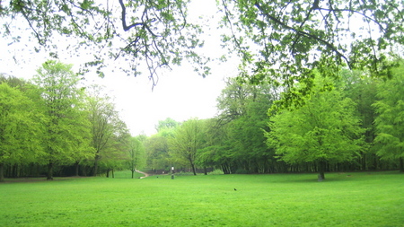 IMG_0392_2-2.jpg