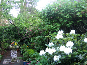 IMG_0430_2.jpg